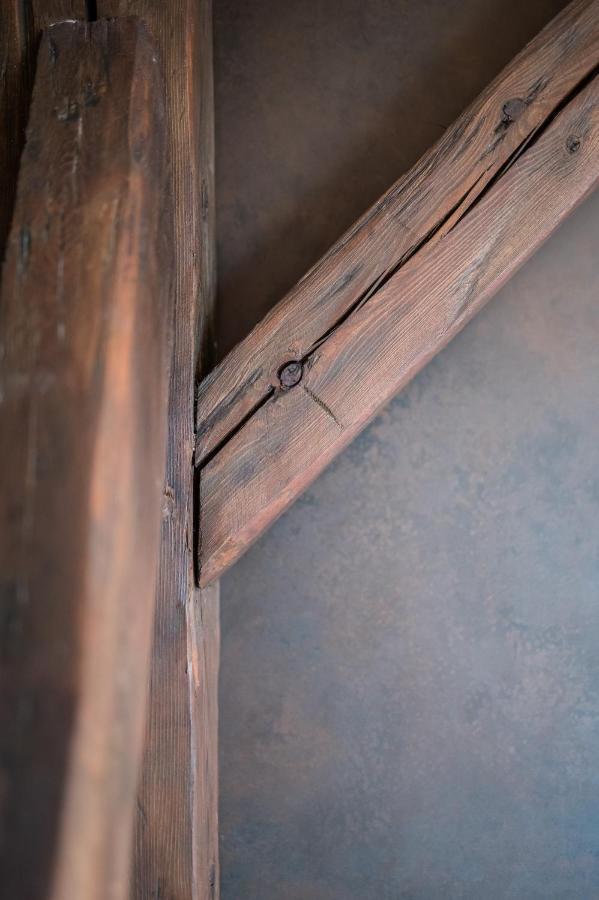 Wegierska Luxury Loft Wawelofts *