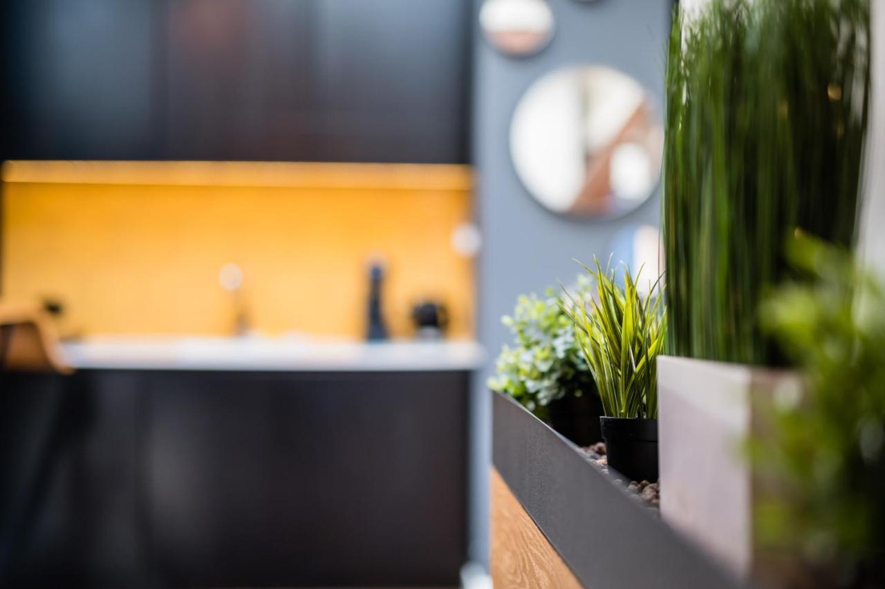 Apartment Wegierska Luxury Loft Wawelofts *